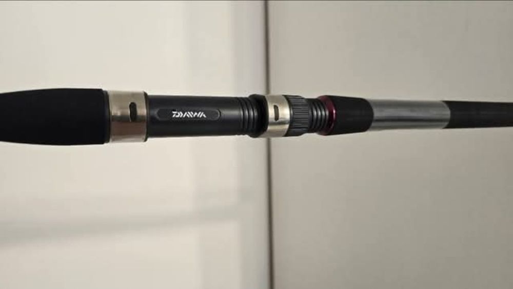 Ansamblu de pescuit Daiwa&Balzer