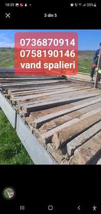 Vând  spalieri de beton de vie