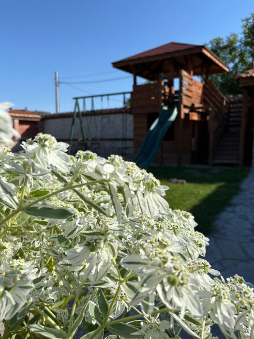 Къща за гости!Свободна за нова година!