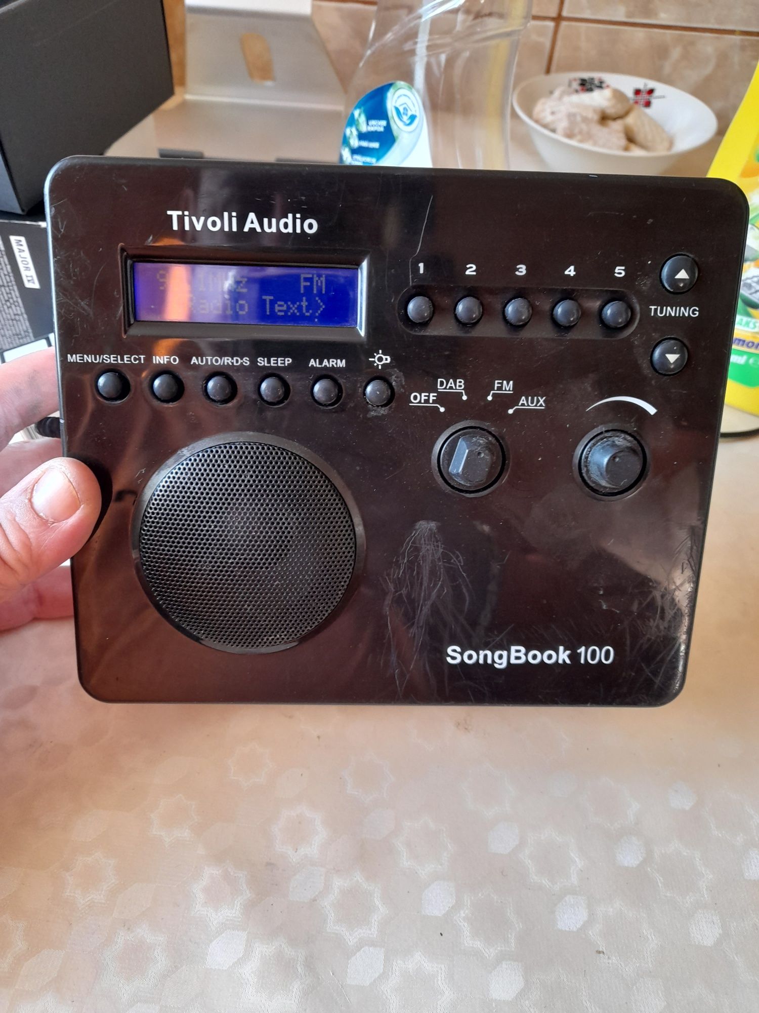 Vind radio tivoli audio song book 100