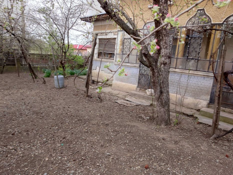 Vând teren cu casă Adunații Copăceni