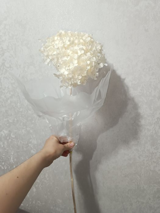 Натуральные Сухоцветы гортензии 
Высота 60 см