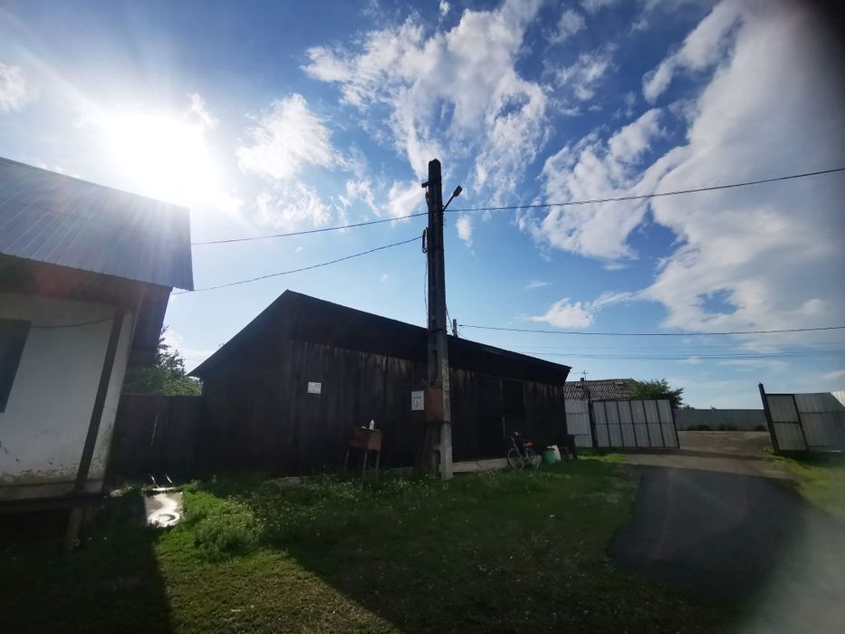 Hala + teren - Autostrada A8 - spațiu industrial și logistic