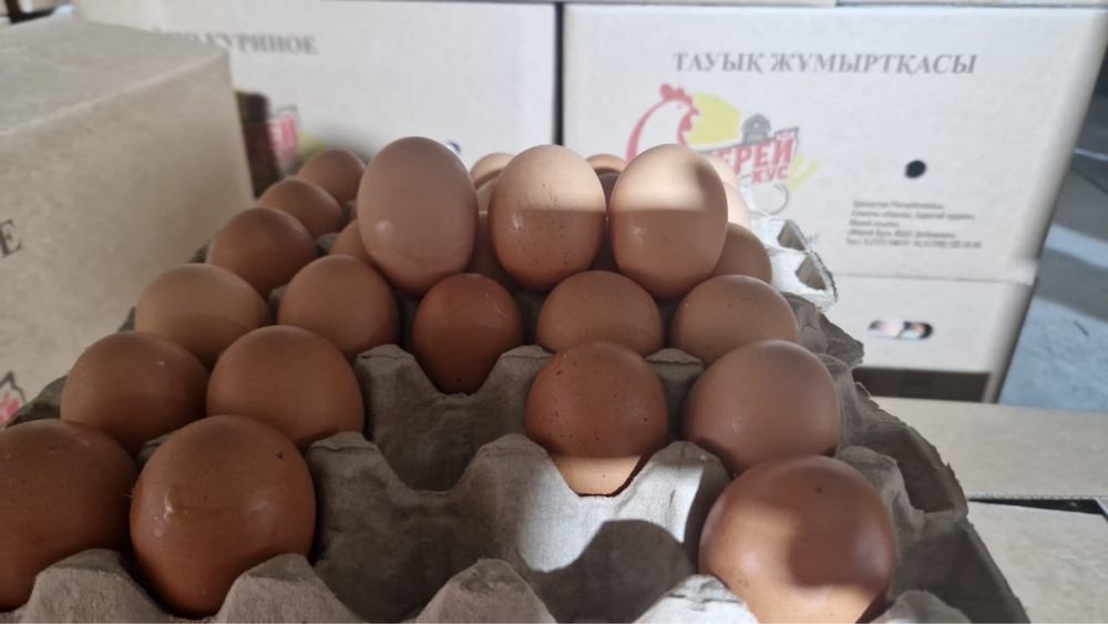 Продаем на прямую с птицефабрики