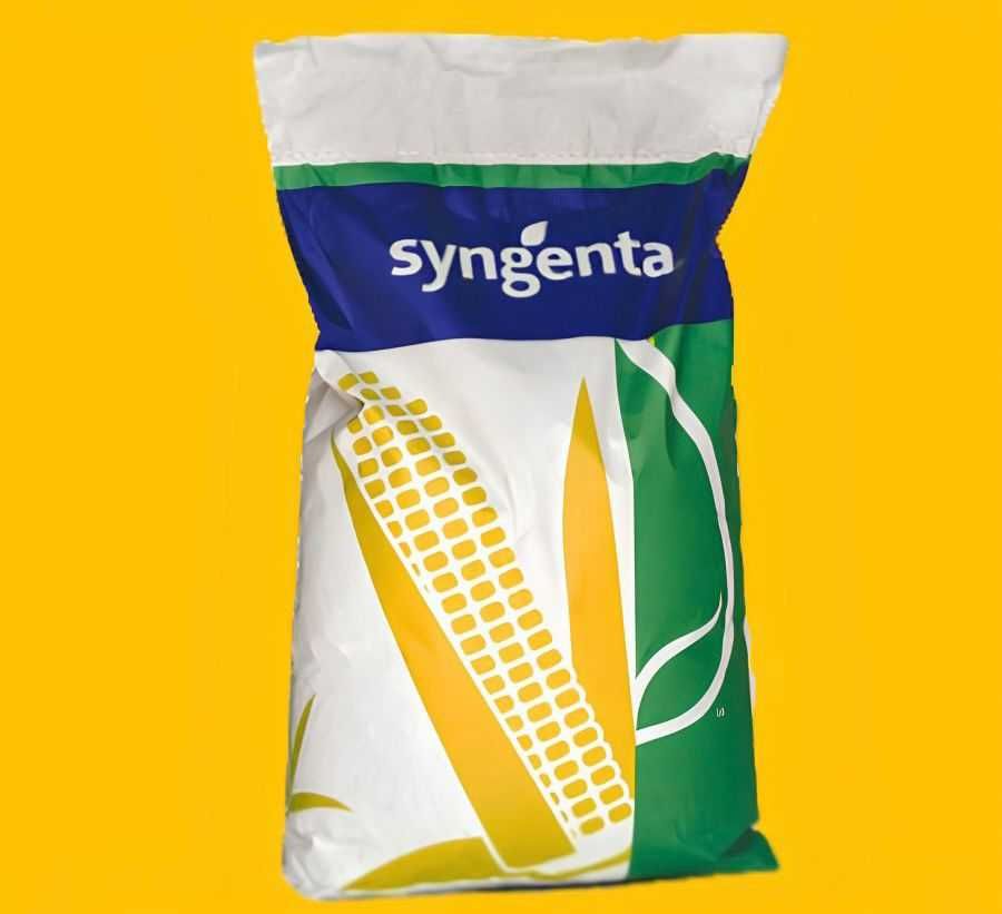 Семена кукурузы Syngenta Андромеда