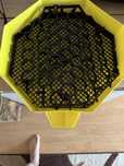 Vand incubator folost 4 ture