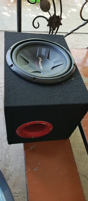 Sabufer Pioneer chempion 311 d4