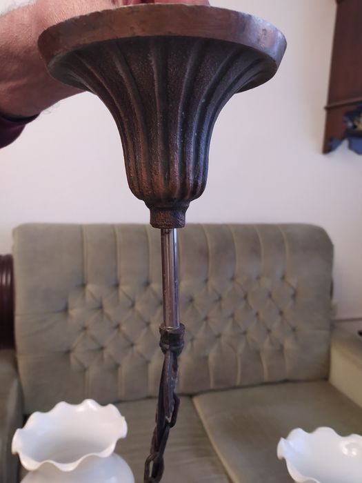 Полилей- два модела