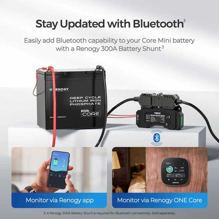 Renogy Core Mini - 12.8V 100Ач LiFePo4 батерия