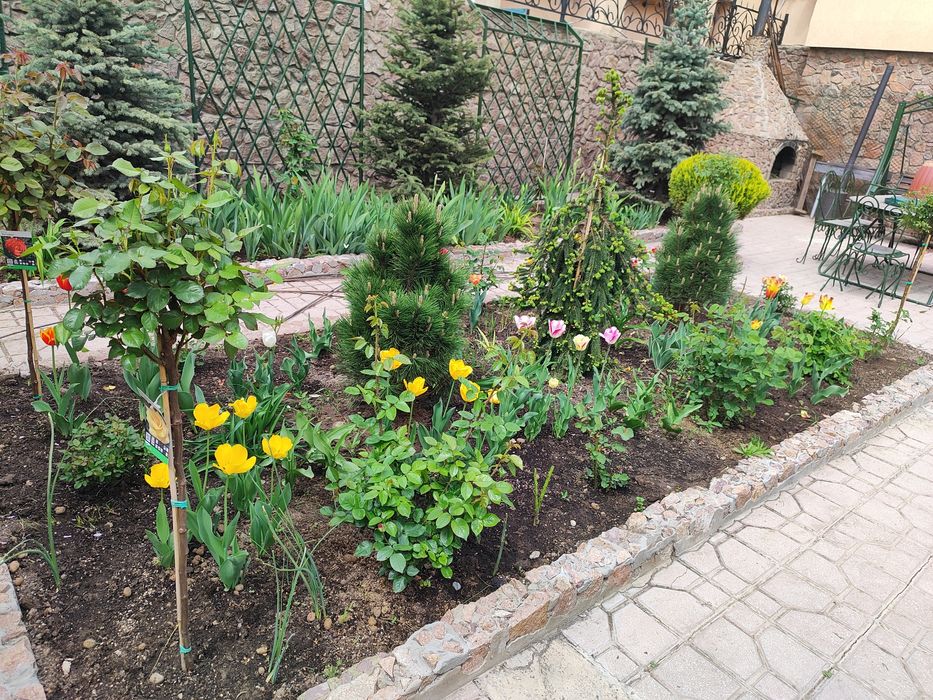 Садовник озеленение