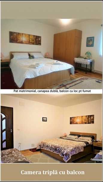 Casa Cerbului Azuga clas. 3*** apart. vilă, max. 6 persoane