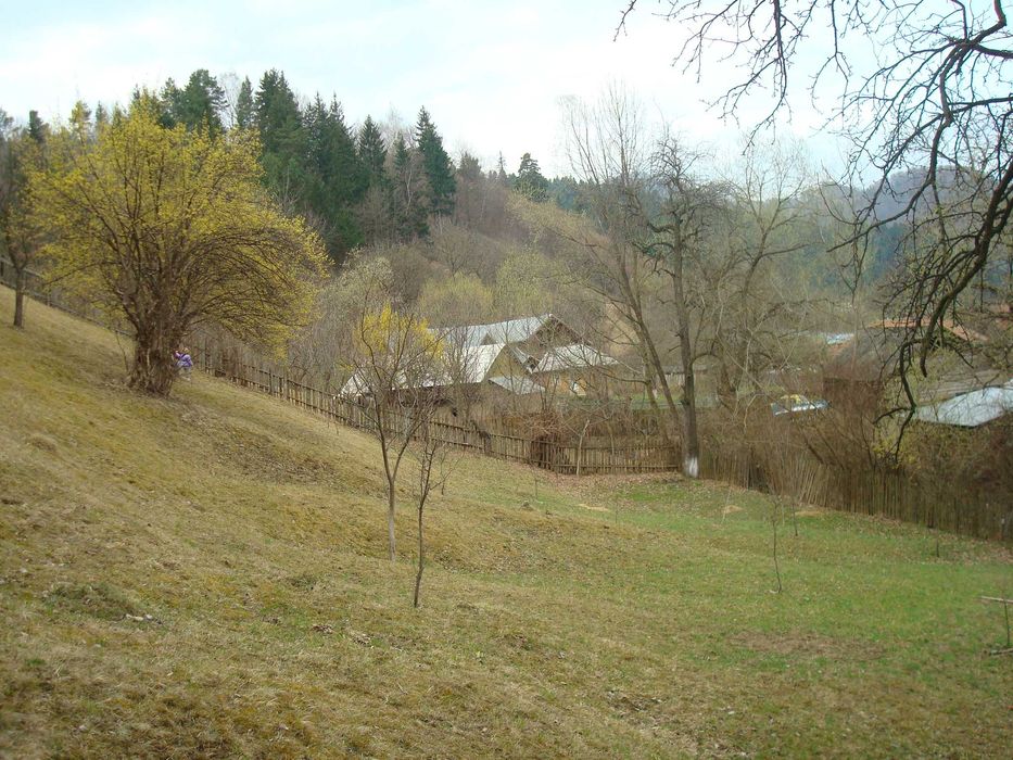 De vânzare teren de 5500 mp situat în Vădurele