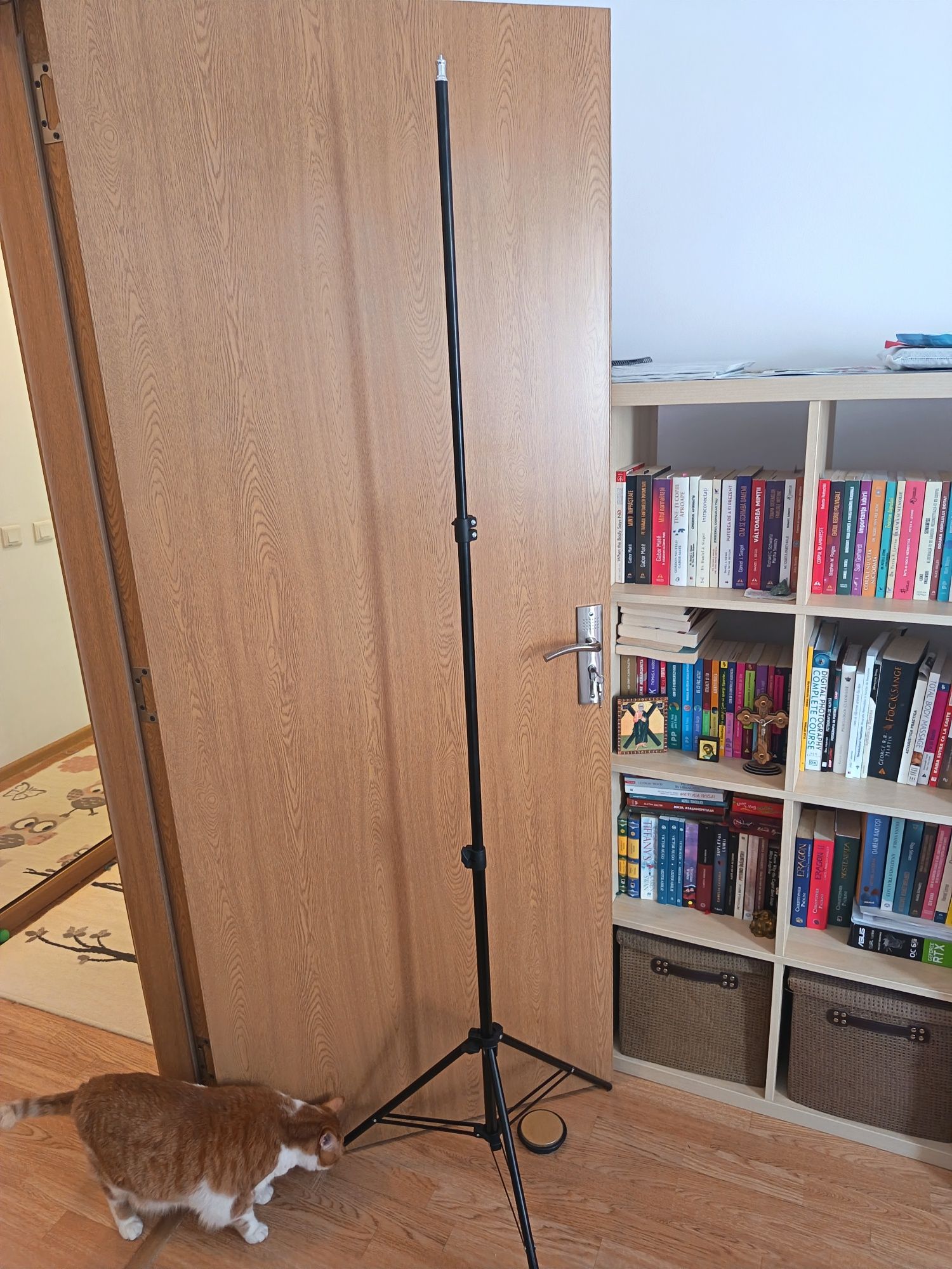 Stative  lumini studio