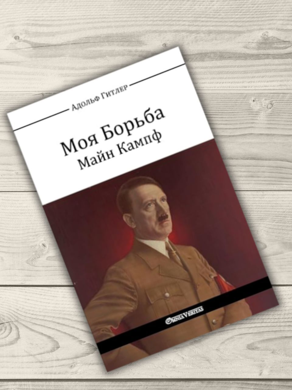 Моя борьба. А. Гитлер