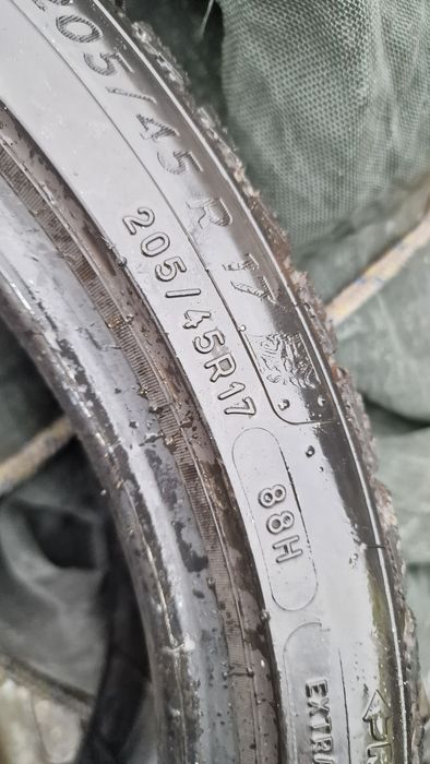 205 45 17 Michelin 2019 2 anvelope iarna