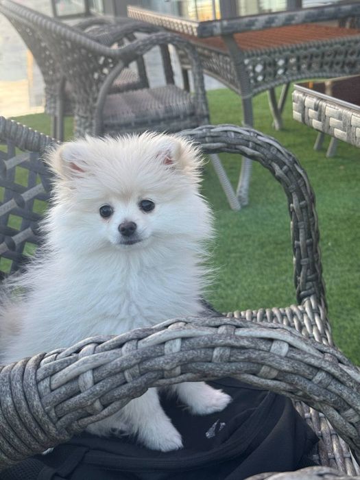 Olgan odam Baraka topadi kelishamiz