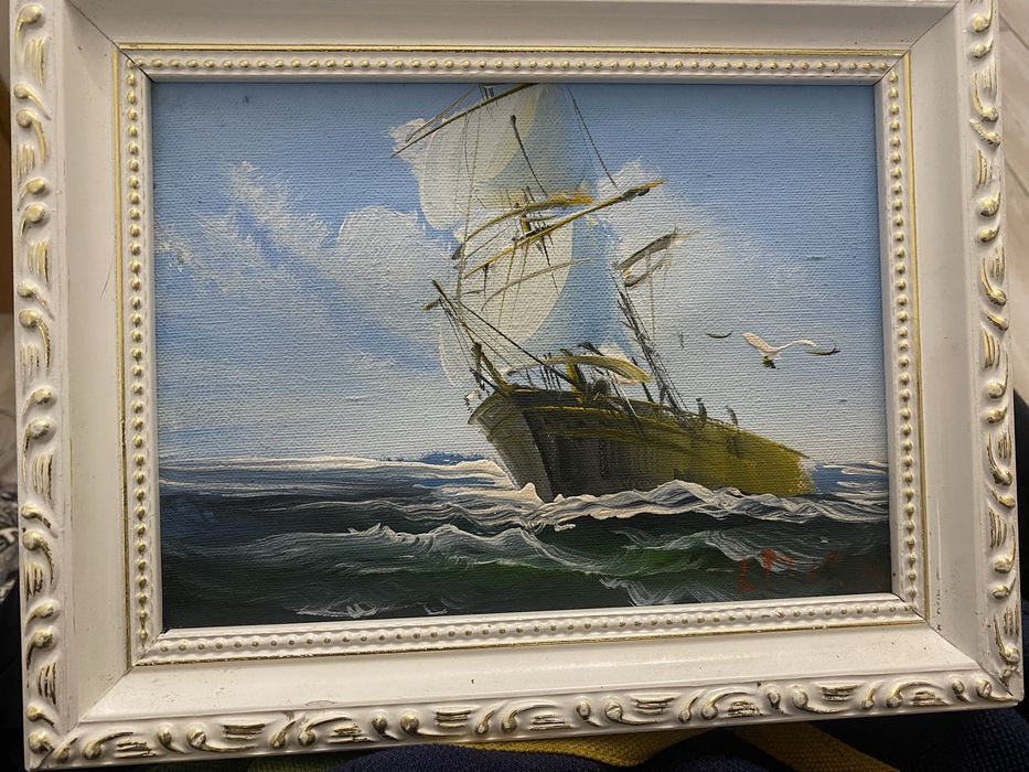 tablou ulei - pinza sac