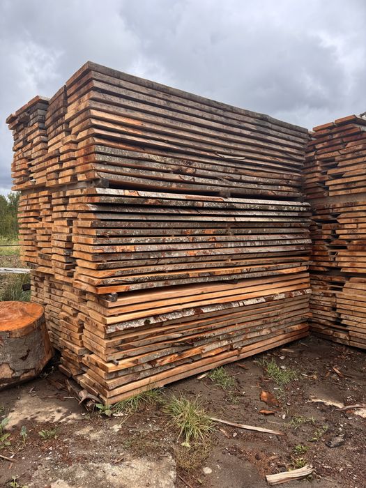 Cherestea fag  uscata gr.48mm