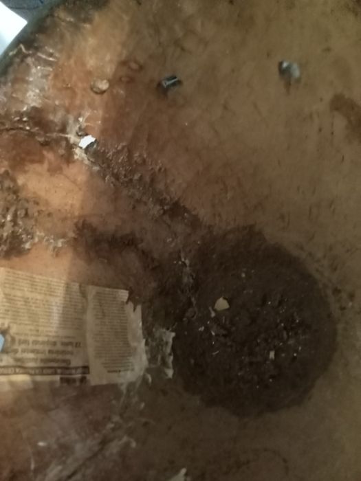 Statui africane cu tam-tam.