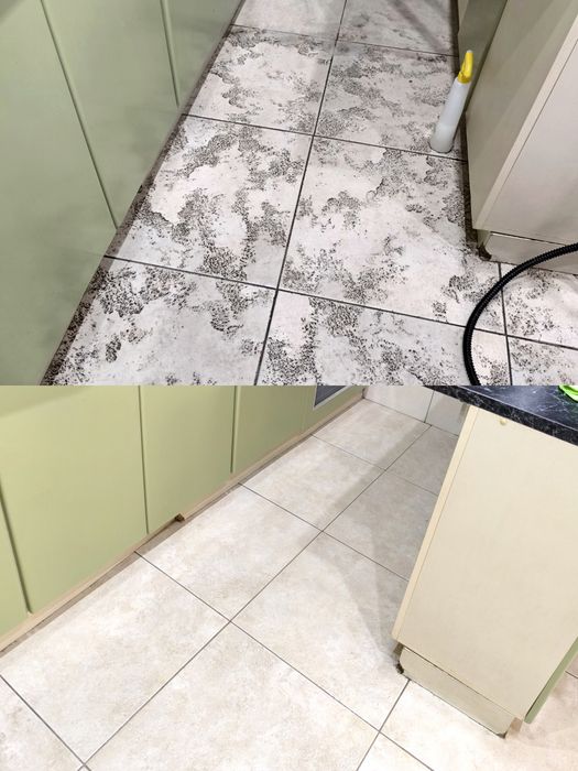 Curățenie la domiciliu