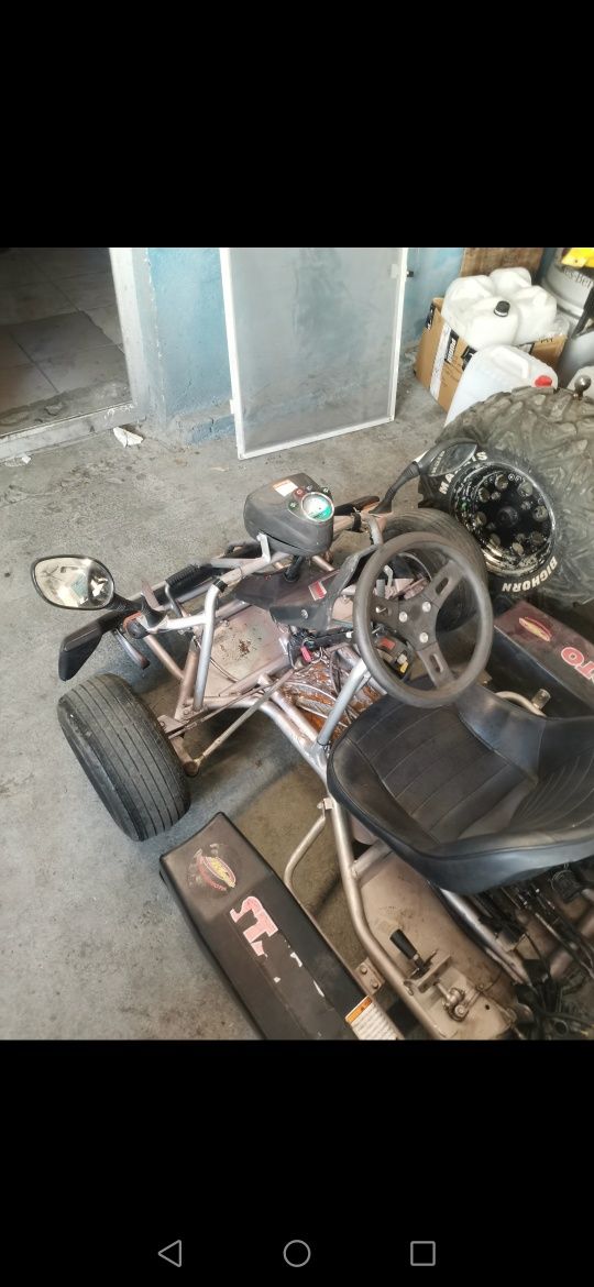 Kart/Cart F100 KREIDLER, benzina