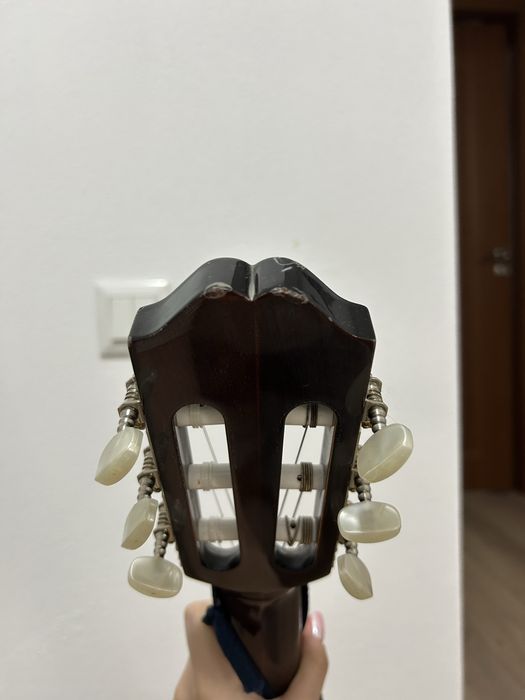 Chitara Hora Reghin Laura 3/4