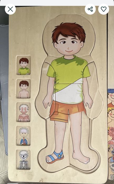 Joc lemn compenente corpului uman