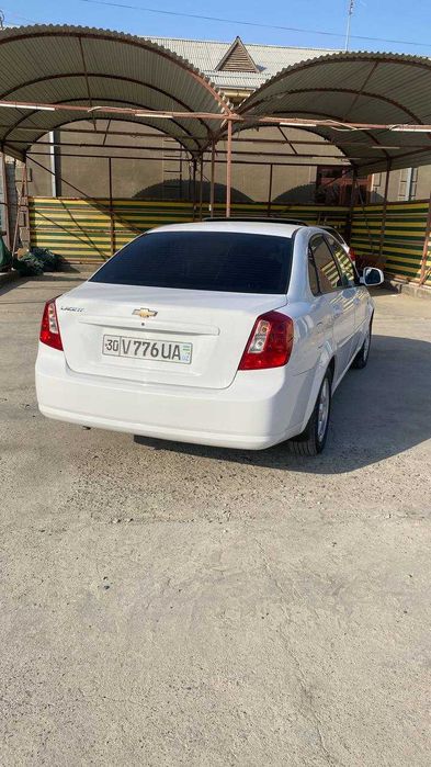 Jentra elegant plyus 2019