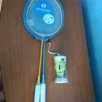 Set badminton professional