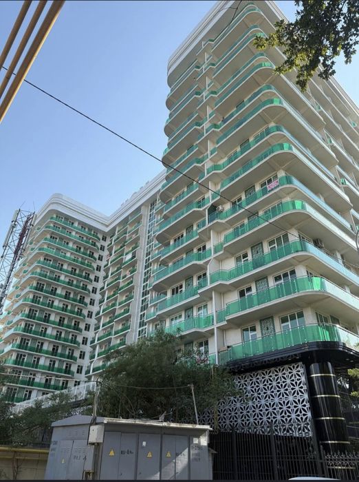 Хон сарой салом куйлик