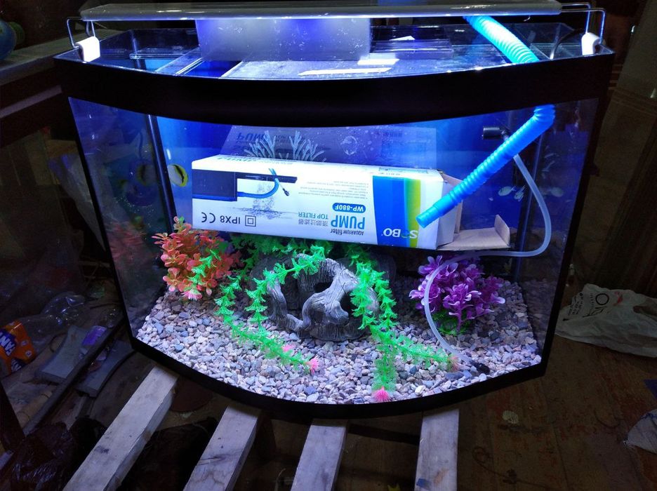 Аквариум овальные