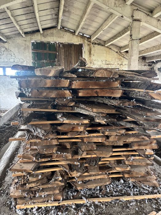 Blaturi de nuc,diferite dimensiuni