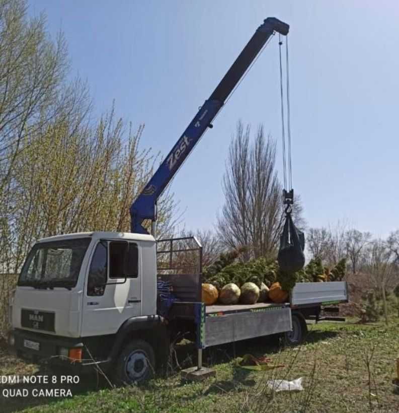 Аренда манипулятора, КМУ, манипулятор услуги, эвакуатор манипулятор