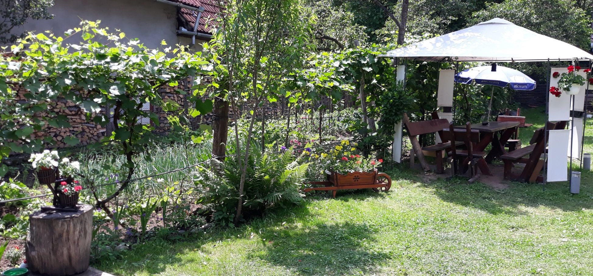 Cazare la Sovata.Casā de vacanțā de închiriat Casa Eni