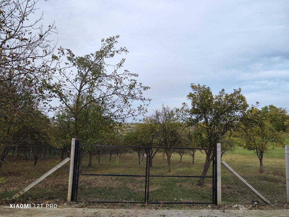 Teren de vanzare langa Zalau, loc. Hereclean