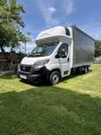 Fiant Ducato prelata 2021