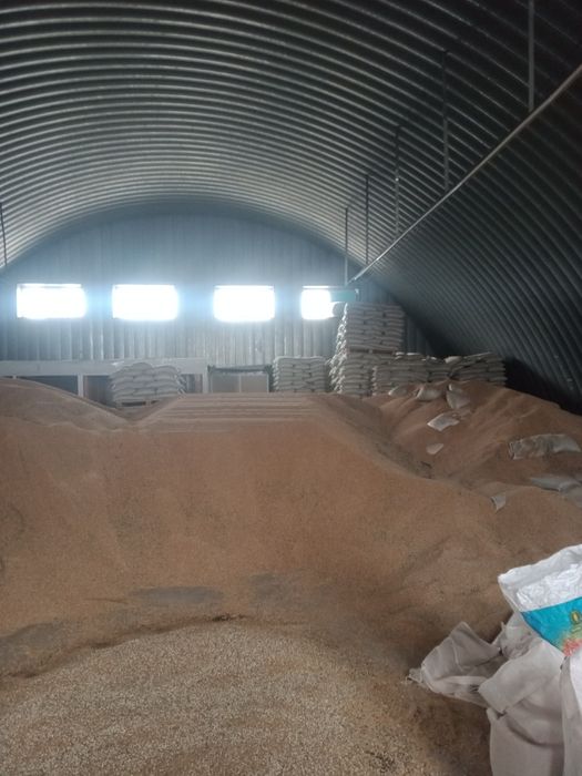 Отруби россиские