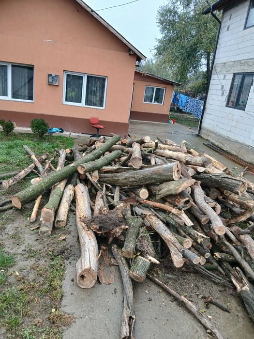 Vand lemne de foc esență tare, 4 m3 Județul Prahova