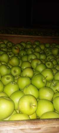 Producător vindem mere calitatea l