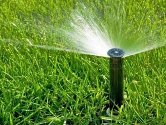 Gazon Rulou și Sistem de irigare și plante Decorative
