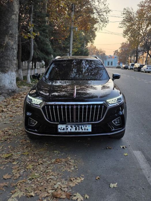 Hongqi 2021  йил. Тозза