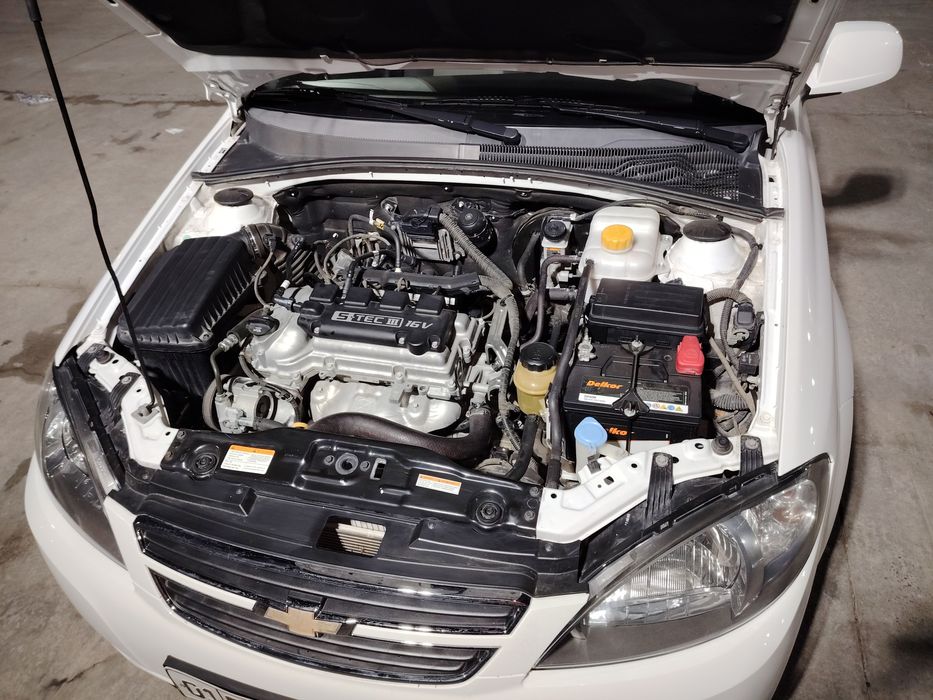 Жентра 2019 пробек 171000