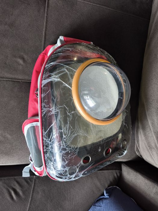 Чанта за домашен любимец