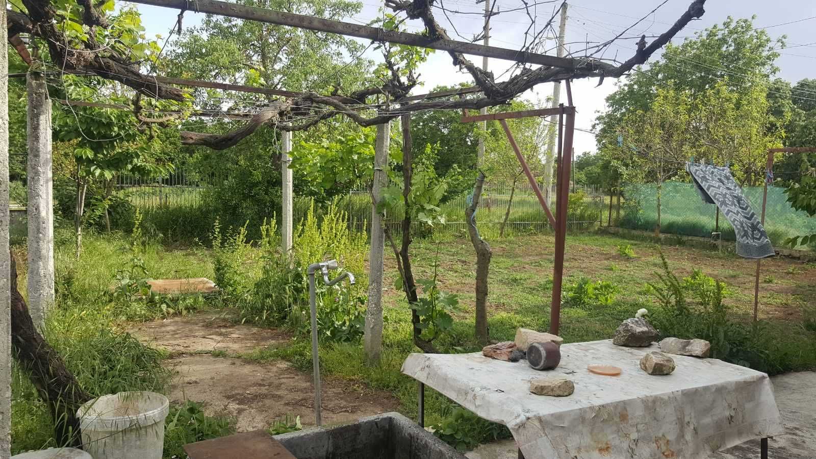 къща в село червенци област варна