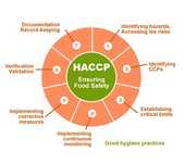 DIGITALIZARE Inteligenta Siguranta Alimentara HACCP / IFS / DSV/ ANPC