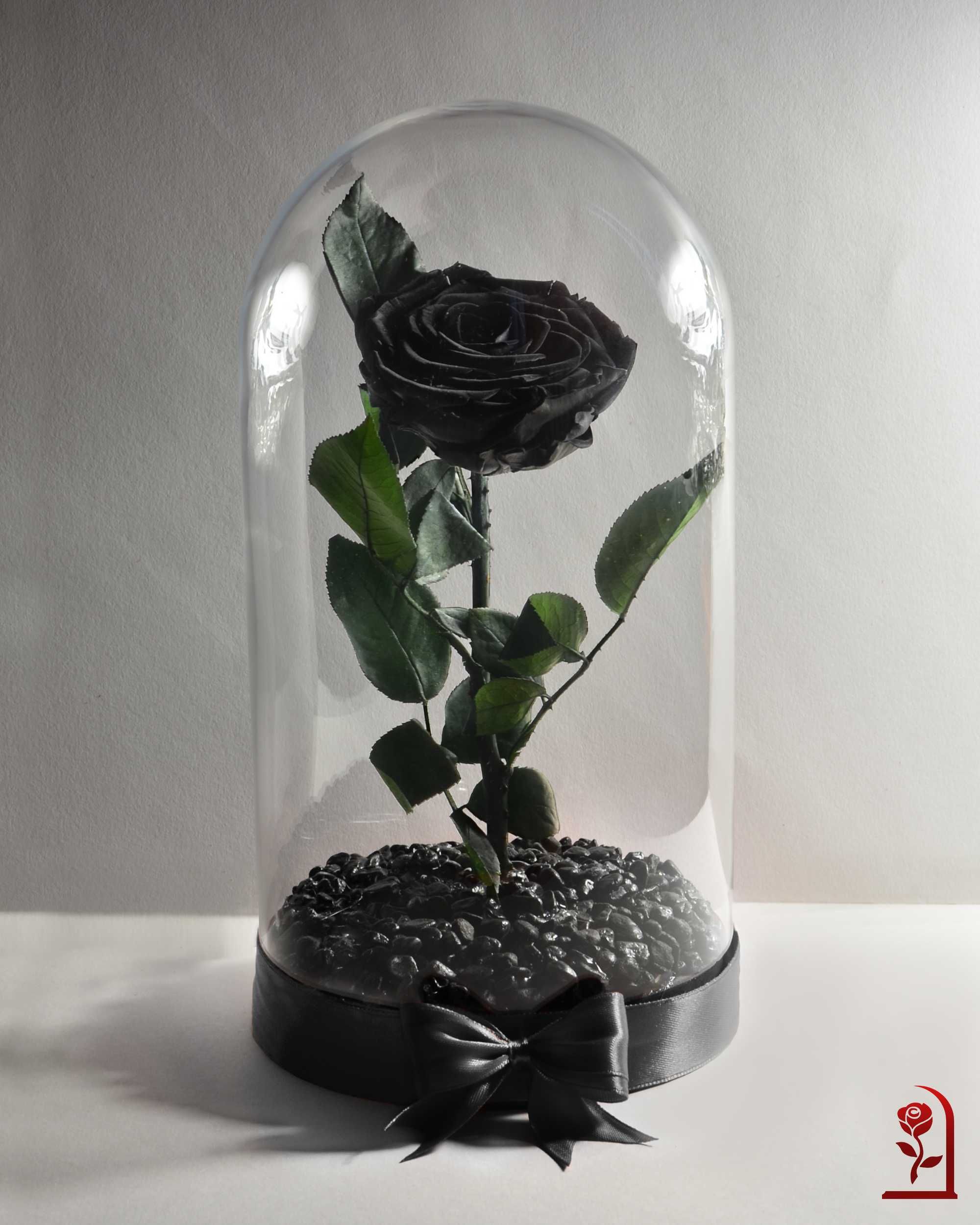 Естествена Черна Роза в Стъкленица / Оригинален Подарък за Жена