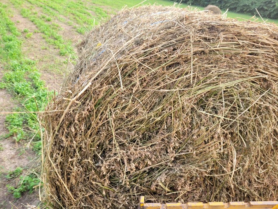 Baloti lucernă  coasa 3 4