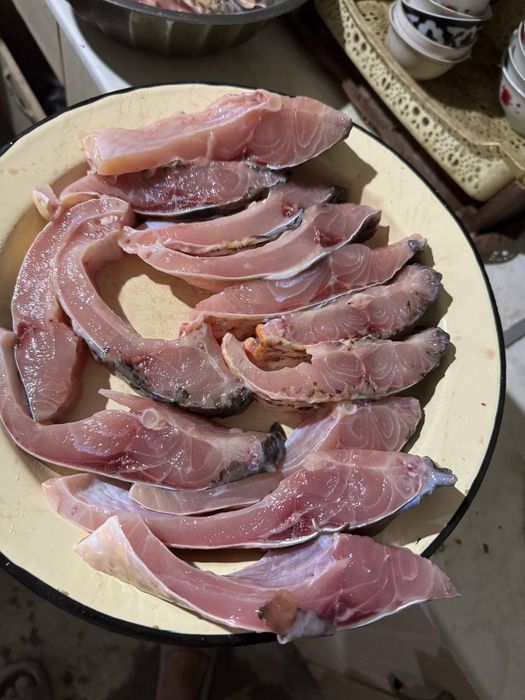 Kafe va Restoranlarga Baliqlar bor Talstalob Sazan Amur