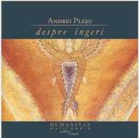 Vând CD audio fragmente cartea "Despre îngeri", Andrei Pleșu