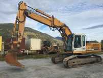 Piese dezmembrate pentru liebherr r914, coroana de rotile , lant de rulare,motor